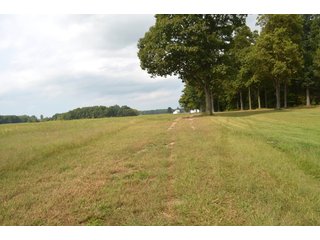 Pond in Dekalb County, Indiana - MAJOR LAND AUCTION - 516+/- ACRES OFFERED IN 18 TRACTS OR COMBINATIONS IN DEKALB COUNTY, INDIANA